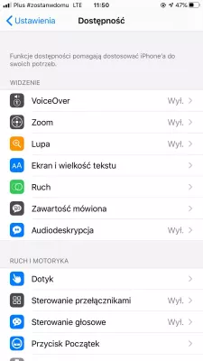 Apple iPhone home button not working. How to solve? : Accessibility settings menu