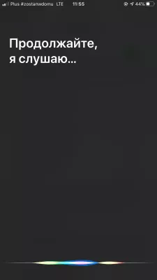 Balso į tekstą neveikimas Apple iPhone. Kaip išspręsti? : SIRI klausydamas balso
