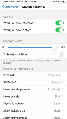 Why is the sound on my Apple iPhone 8 not working : Sound settings in iPhone menu