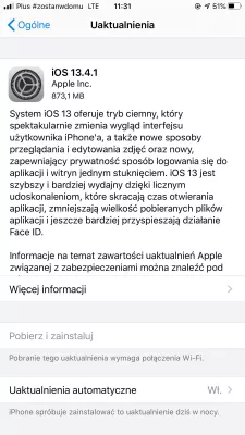 Apple iPhone não enviará textos? Aqui está a correção : Verificação de atualizações de software para iOS