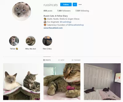How Influencers Use Reels In Instagram? : https://www.instagram.com/russincats/?hl=en