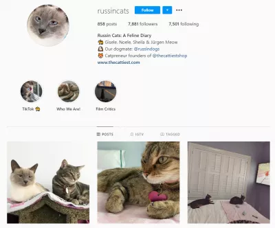 Kuidas mõjutajad Instagramis reele kasutavad? : https://www.instagram.com/russincats/?hl=et