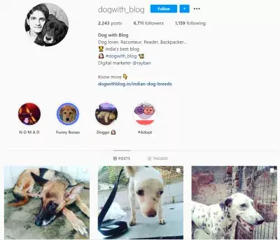 15 influencers show us their Instagram profiles - and give us their secret sauce : @dogwith_blog on Instagram