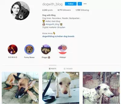 15 influencers nos muestran sus perfiles de Instagram y nos dan su salsa secreta : @dogwith_blog en Instagram