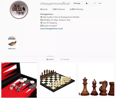 15 influencers show us their Instagram profiles - and give us their secret sauce : @chessgammonofficial on Instagram