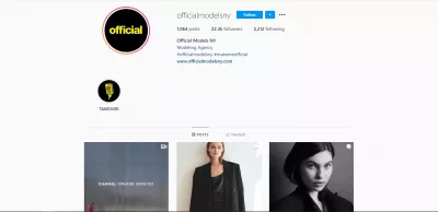 14 expert conversion from Instagram tips : @officialmodelsny