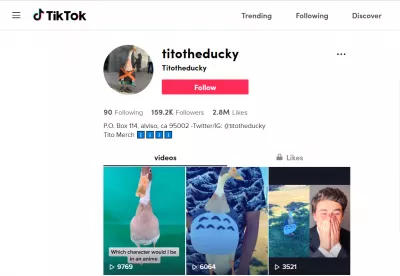 Show us your TikTok profile - 8 great TikTok profiles : @titotheducky on TikTok
